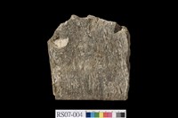 藏品(具有褶曲現象之片麻岩)的圖片